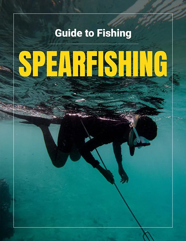 Your Free Guide to Fishing: Spearfishing